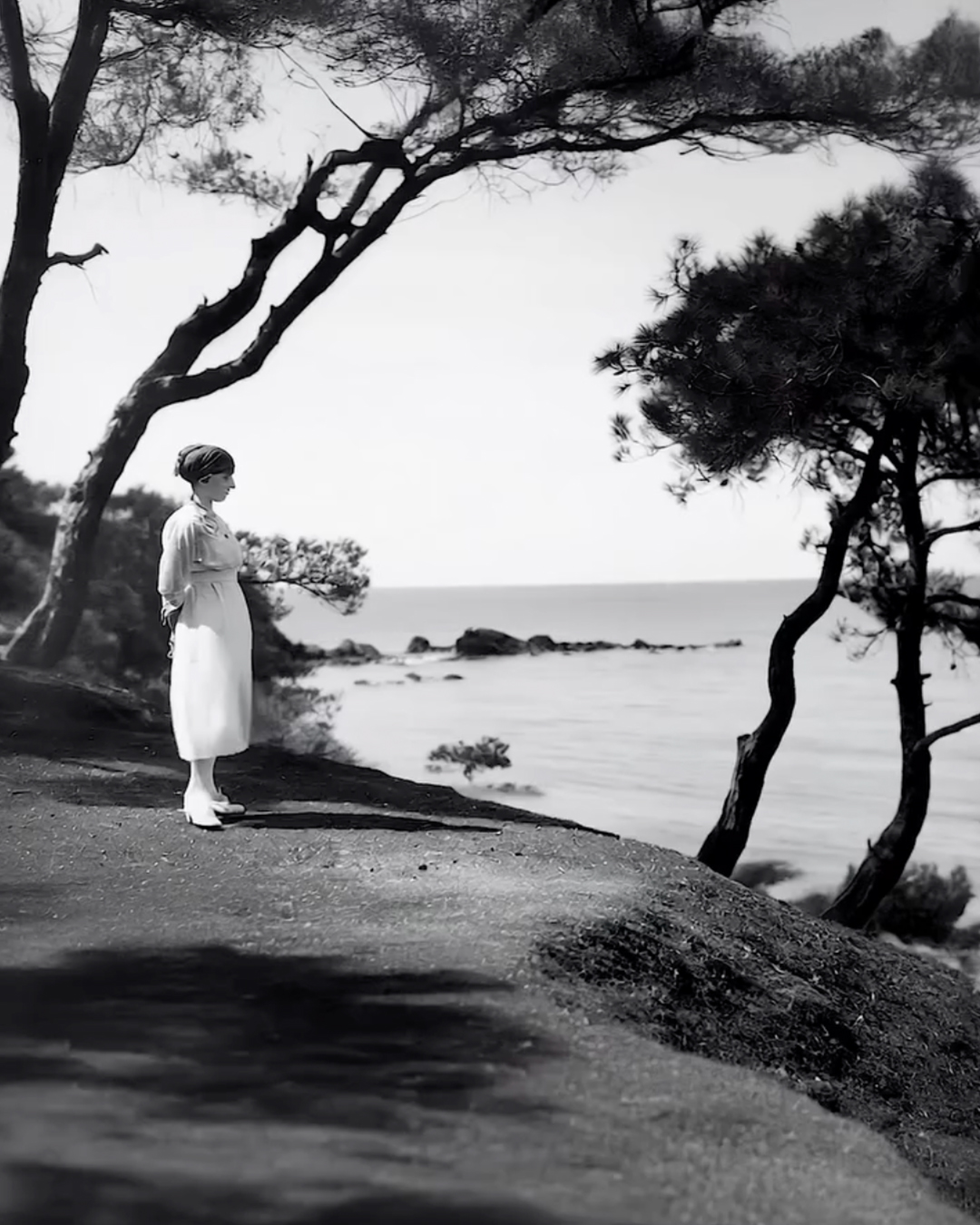 Fotoğrafın Rüyası - No.2